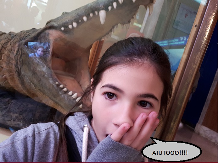 coccodrillo2